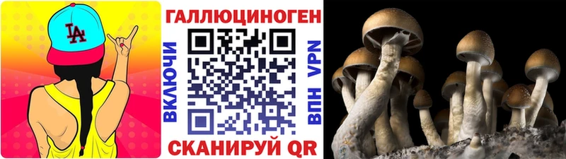 Галлюциногенные грибы мухоморы  сайты даркнета телеграм  Петровск-Забайкальский 